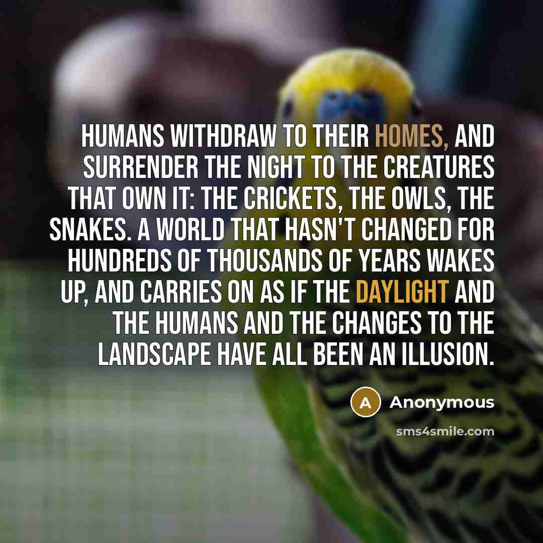 “Humans withdraw to their homes, and surrender the night to the creatures that own it: the crickets, the owls, the snakes. A world that hasn't changed for hundreds of thousands of years wakes up, and carries on as if the daylight and the humans and the changes to the landscape have all been an…” quote by Anonymous