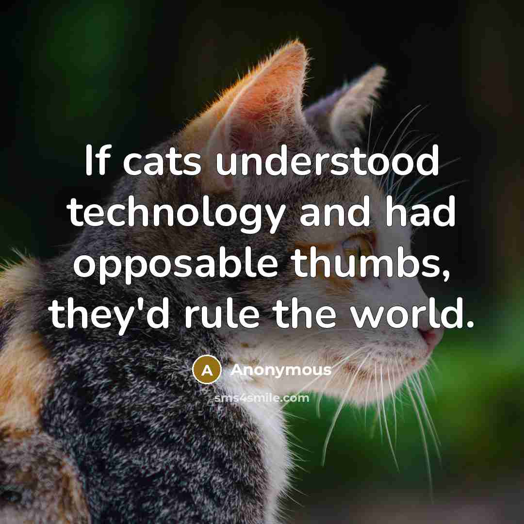 “If cats understood technology and had opposable thumbs, they'd rule the world.” quote by Anonymous