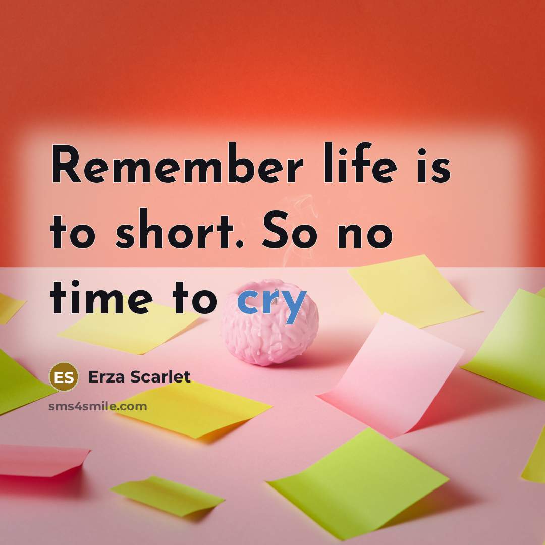 “Remember life is to short. So no time to cry” quote by Erza Scarlet