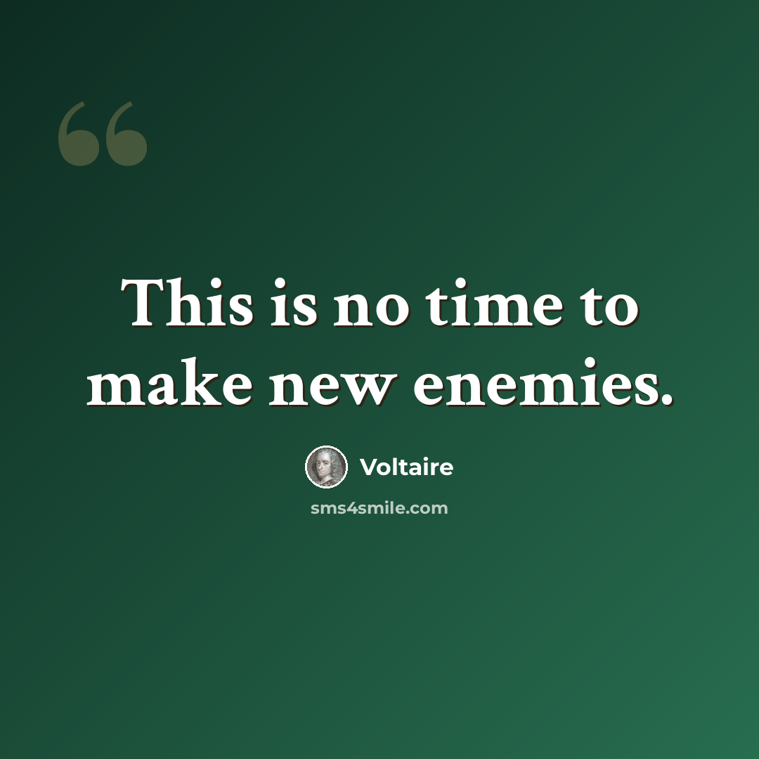“This is no time to make new enemies.” quote by Voltaire