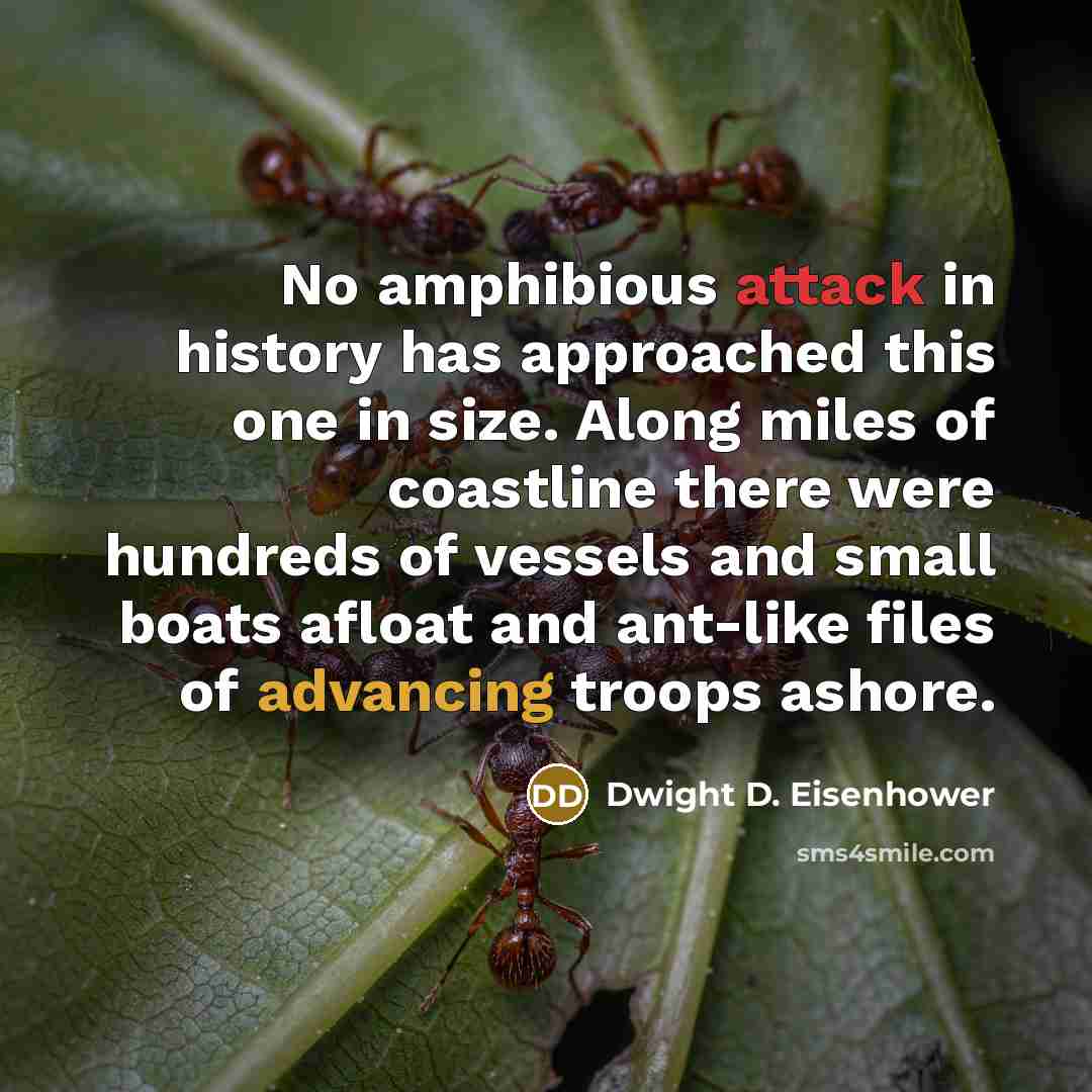 “No amphibious attack in history has approached this one in size. Along miles of coastline there were hundreds of vessels and small boats afloat and ant-like files of advancing troops ashore.” quote by Dwight D. Eisenhower