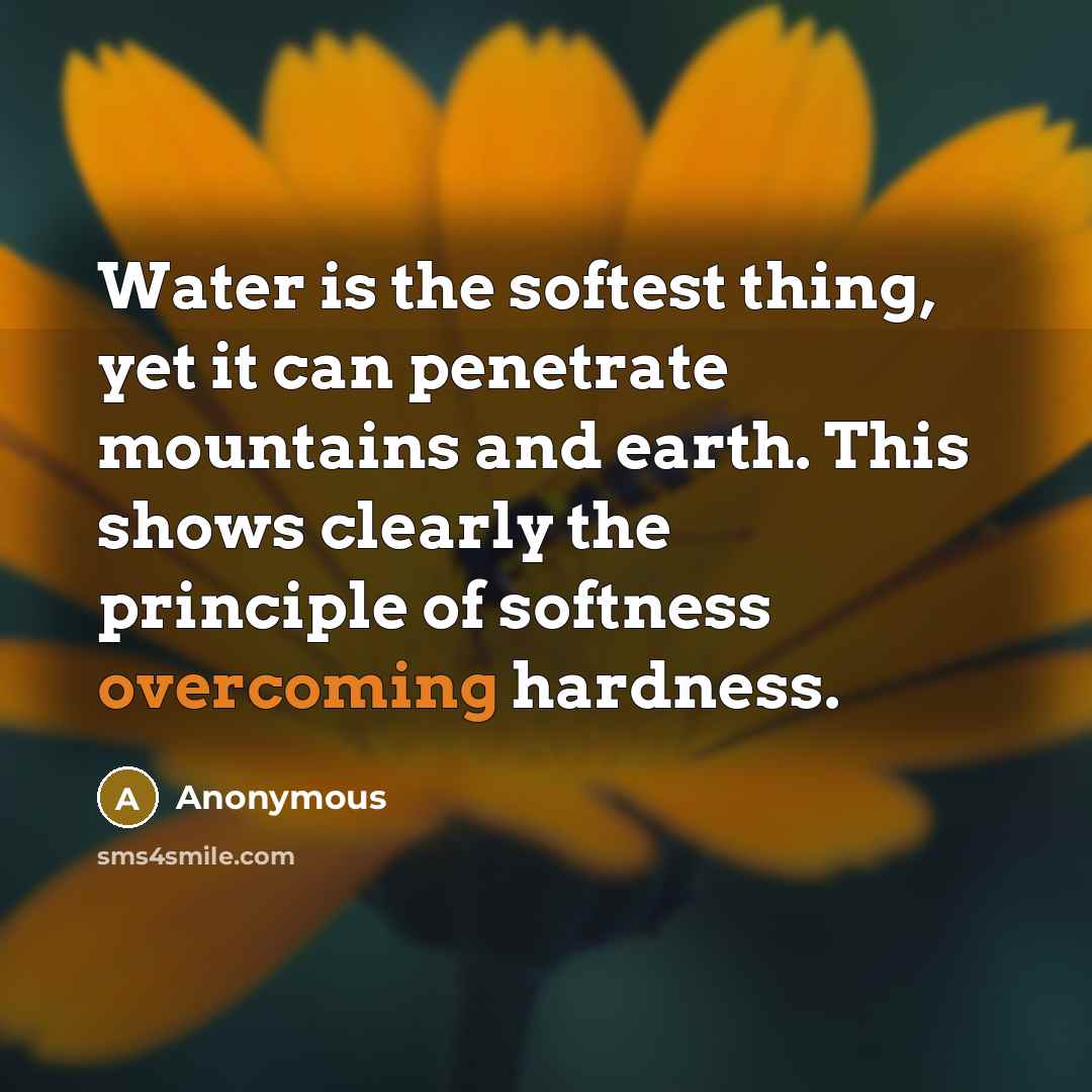 “Water is the softest thing, yet it can penetrate mountains and earth. This shows clearly the principle of softness overcoming hardness.” quote by Anonymous