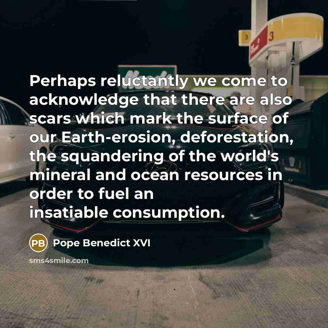 “Perhaps reluctantly we come to acknowledge that there are also scars which mark the surface of our Earth-erosion, deforestation, the squandering of the world's mineral and ocean resources in order to fuel an insatiable consumption.” quote by Pope Benedict XVI