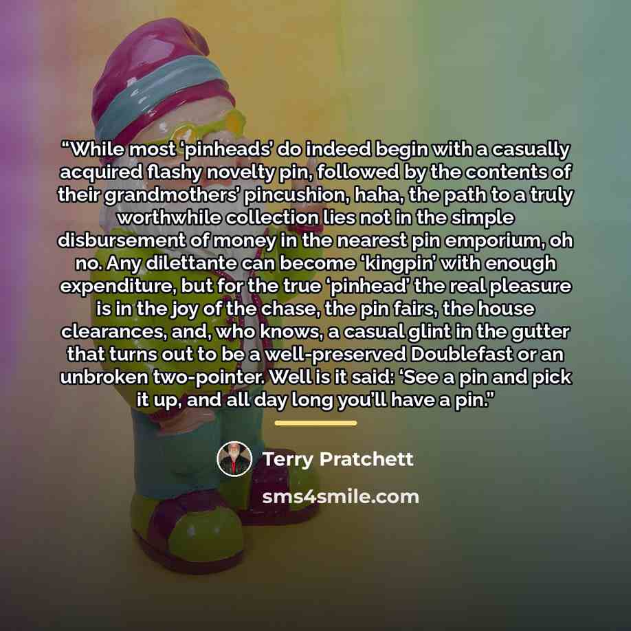 “While most ‘pinheads’ do indeed begin with a casually acquired flashy novelty pin, followed by the contents of their grandmothers’ pincushion, haha, the path to a truly worthwhile collection lies not in the simple disbursement of money in the nearest pin emporium, oh no. Any dilettante can become…” quote by Terry Pratchett