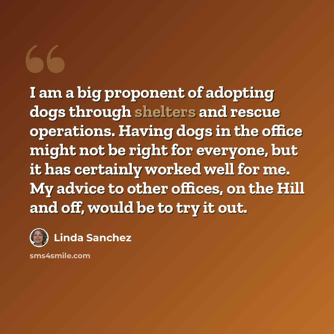 “I am a big proponent of adopting dogs through shelters and rescue operations. Having dogs in the office might not be right for everyone, but it has certainly worked well for me. My advice to other offices, on the Hill and off, would be to try it out.” quote by Linda Sanchez