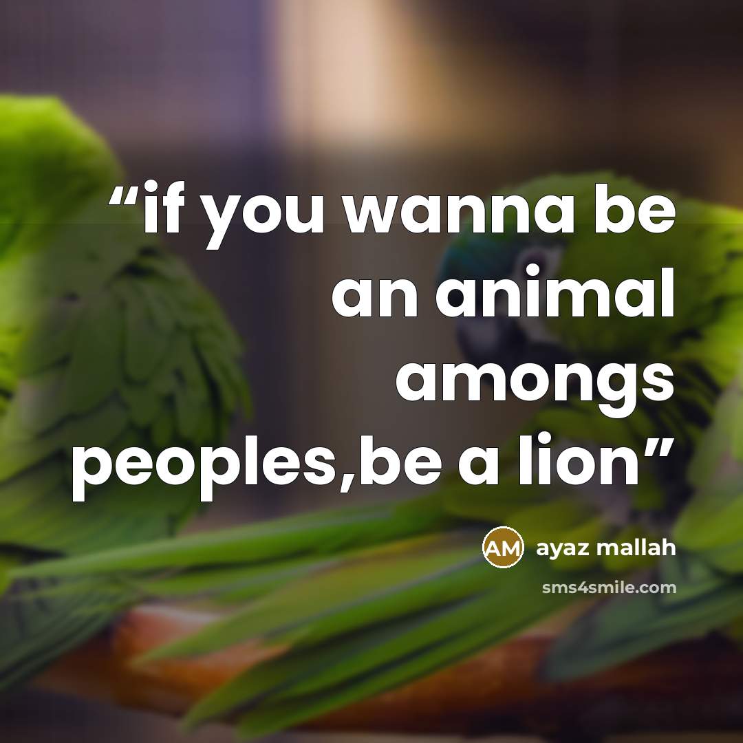 “if you wanna be an animal amongs peoples,be a lion” quote by Ayaz mallah