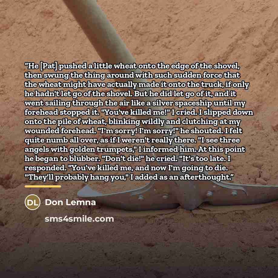 “He [Pat] pushed a little wheat onto the edge of the shovel, then swung the thing around with such sudden force that the wheat might have actually made it onto the truck, if only he hadn't let go of the shovel. But he did let go of it, and it went sailing through the air like a silver spaceship…” quote by Don Lemna