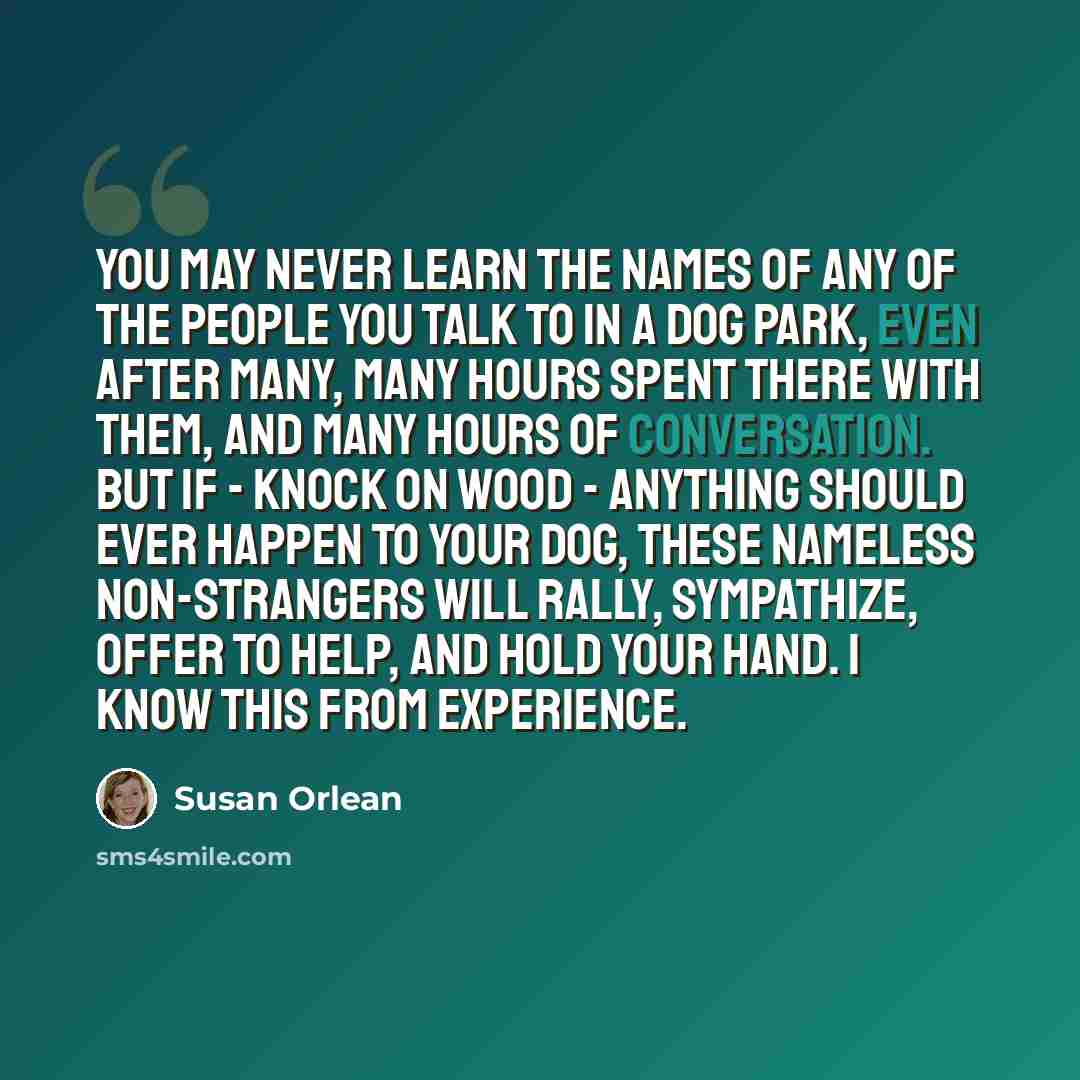 “You may never learn the names of any of the people you talk to in a dog park, even after many, many hours spent there with them, and many hours of conversation. But if - knock on wood - anything should ever happen to your dog, these nameless non-strangers will rally, sympathize, offer to help, and…” quote by Susan Orlean