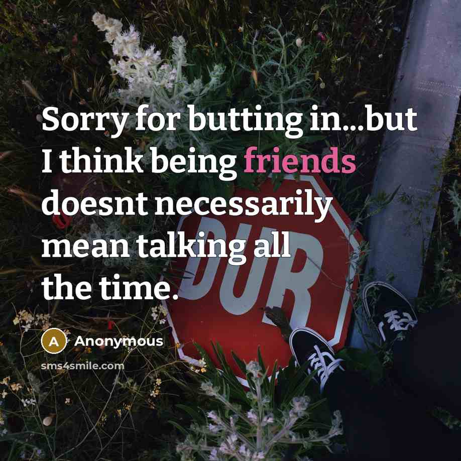 “Sorry for butting in...but I think being friends doesnt necessarily mean talking all the time.” quote by Anonymous