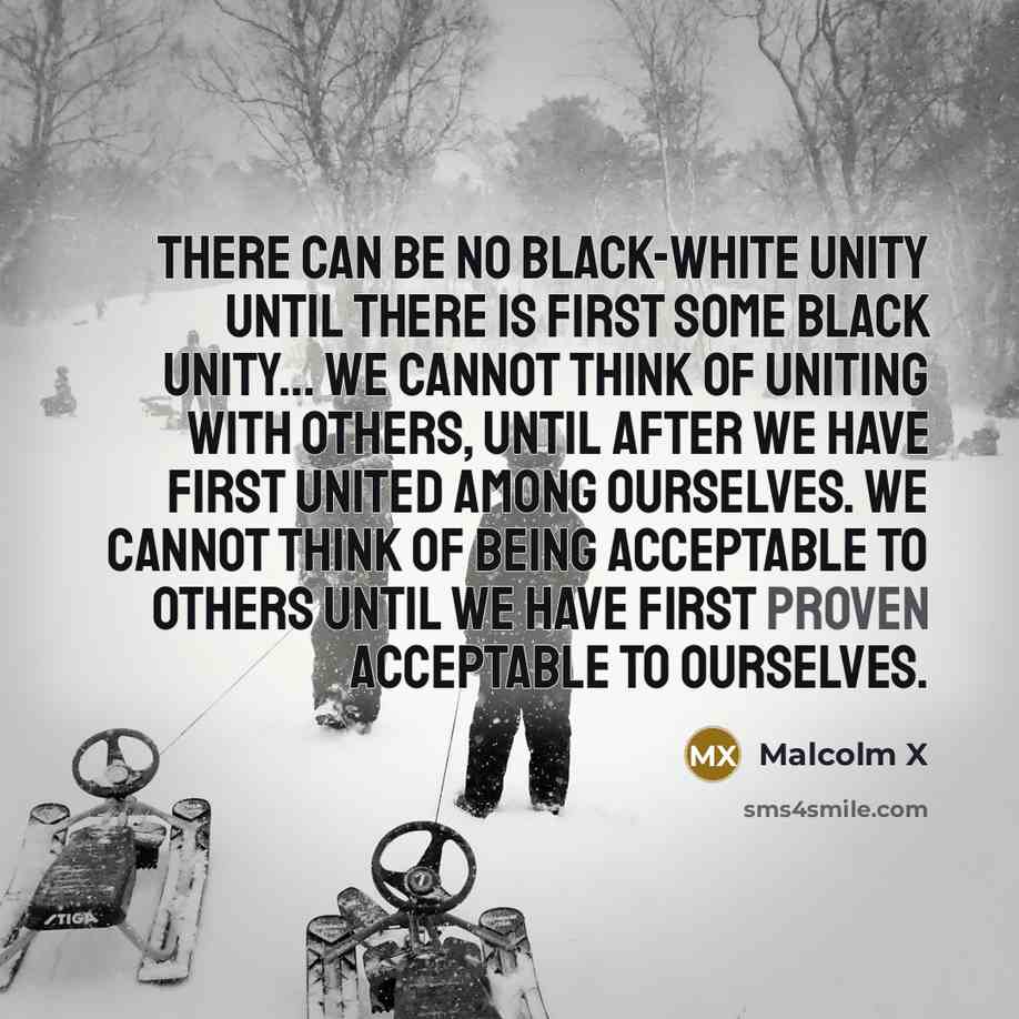 “There can be no black-white unity until there is first some black unity… We cannot think of uniting with others, until after we have first united among ourselves. We cannot think of being acceptable to others until we have first proven acceptable to ourselves.” quote by Malcolm X