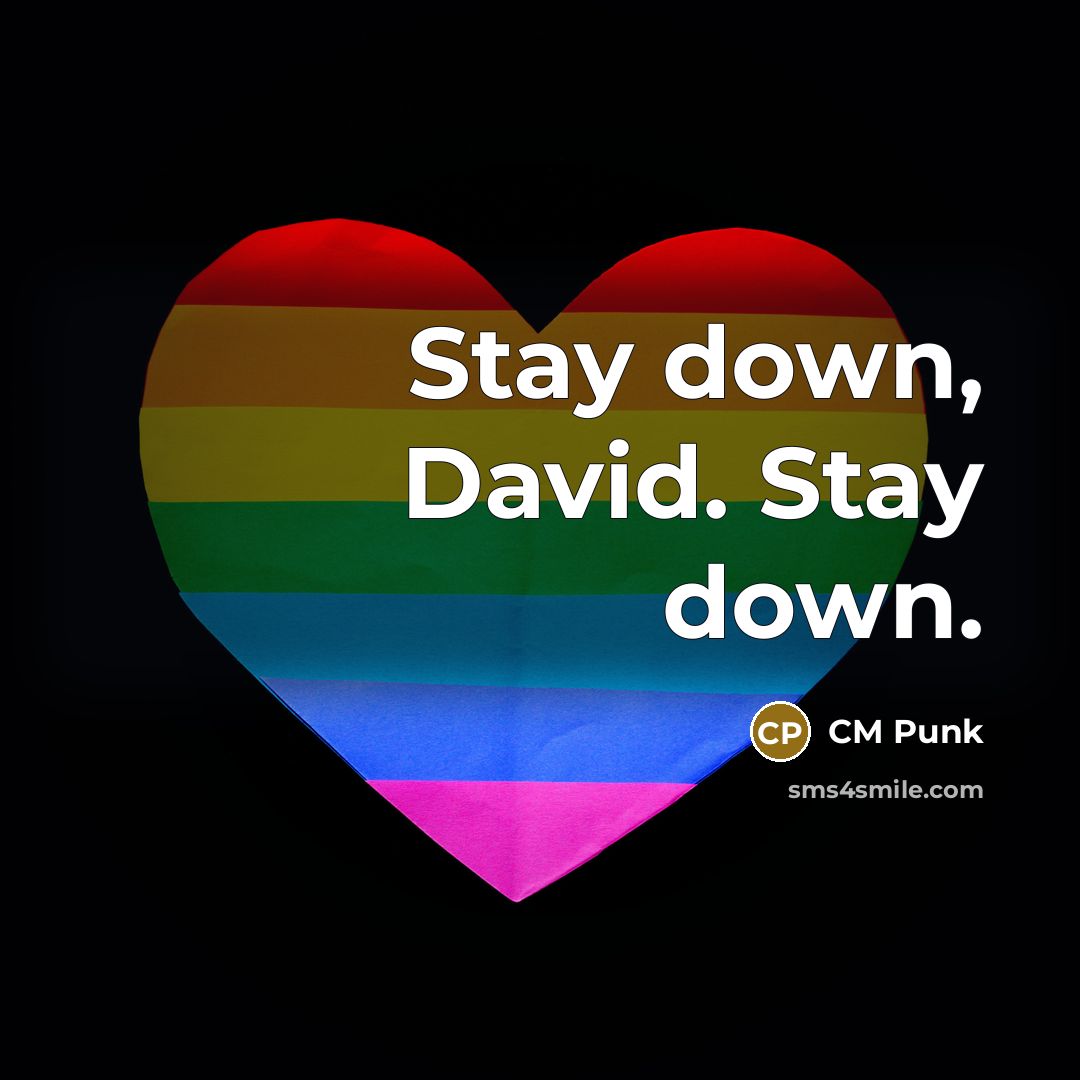 “Stay down, David. Stay down.” quote by CM Punk