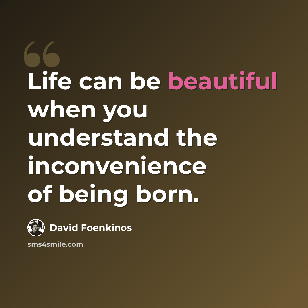 “Life can be beautiful when you understand the inconvenience of being born.” quote by David Foenkinos