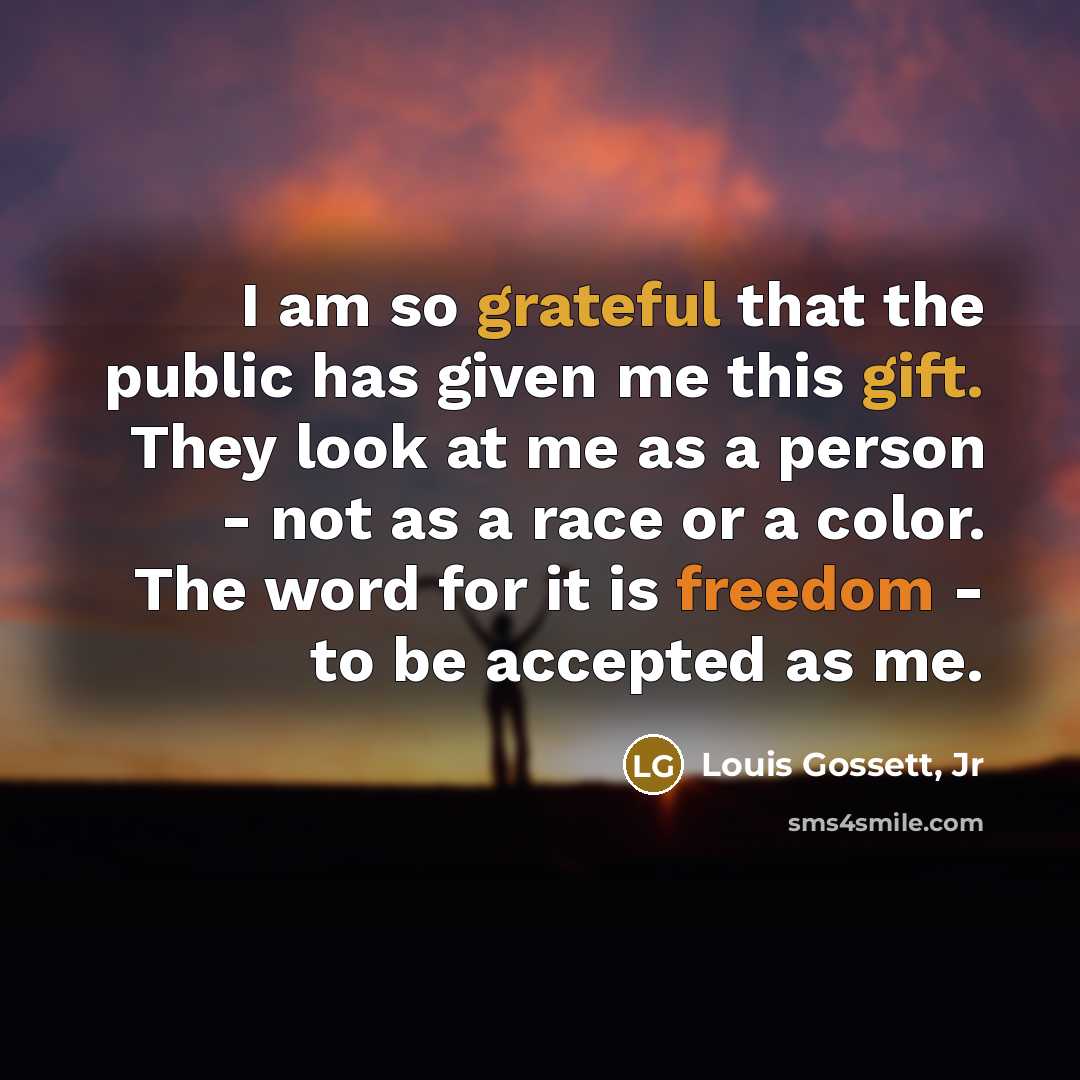 “I am so grateful that the public has given me this gift. They look at me as a person - not as a race or a color. The word for it is freedom - to be accepted as me.” quote by Louis Gossett, Jr