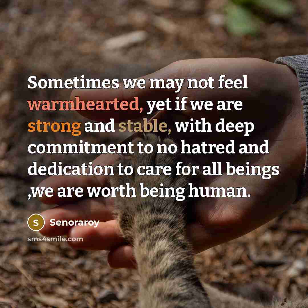 “Sometimes we may not feel warmhearted, yet if we are strong and stable, with deep commitment to no hatred and dedication to care for all beings ,we are worth being human.” quote by Senoraroy