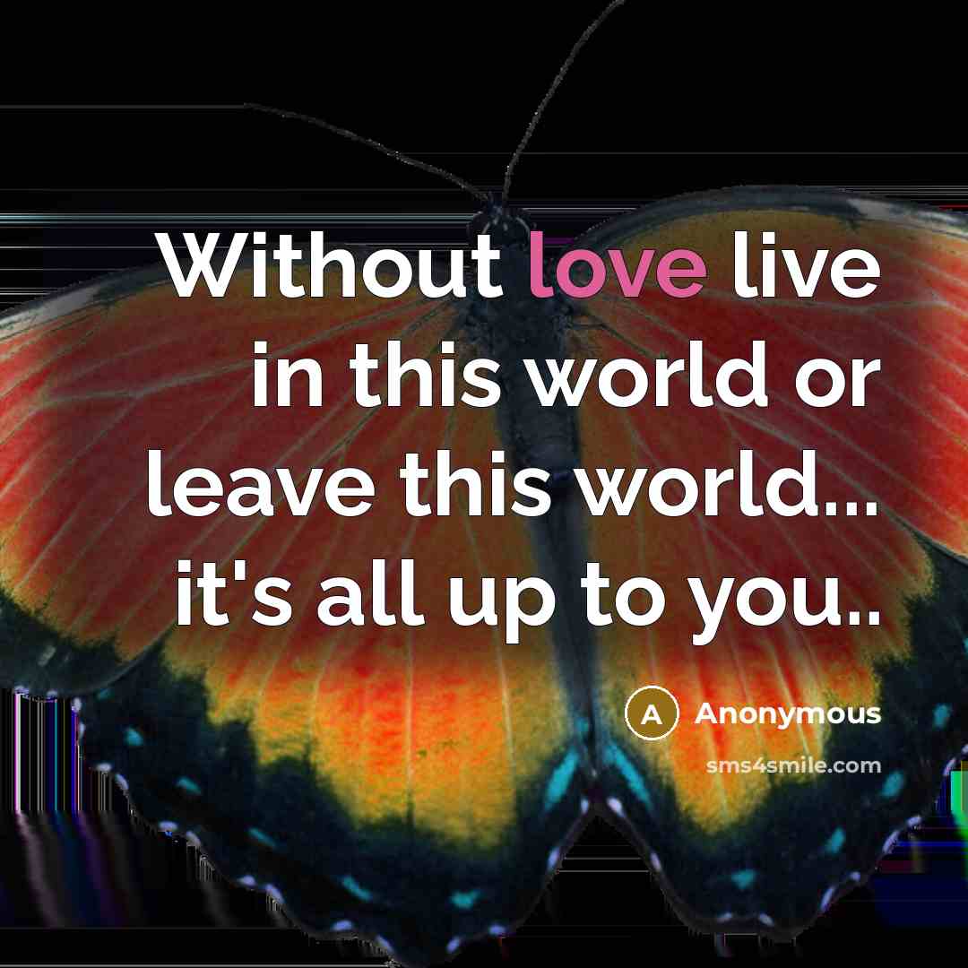 “Without love live in this world or leave this world... it's all up to you..” quote by Anonymous
