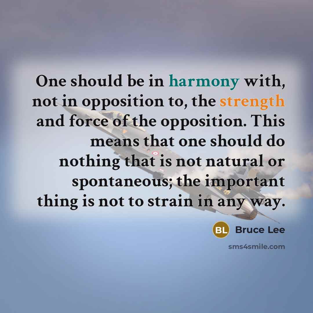 “One should be in harmony with, not in opposition to, the strength and force of the opposition. This means that one should do nothing that is not natural or spontaneous; the important thing is not to strain in any way.” quote by Bruce Lee