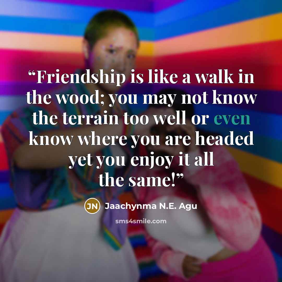 “Friendship is like a walk in the wood; you may not know the terrain too well or even know where you are headed yet you enjoy it all the same!” quote by Jaachynma N.E. Agu