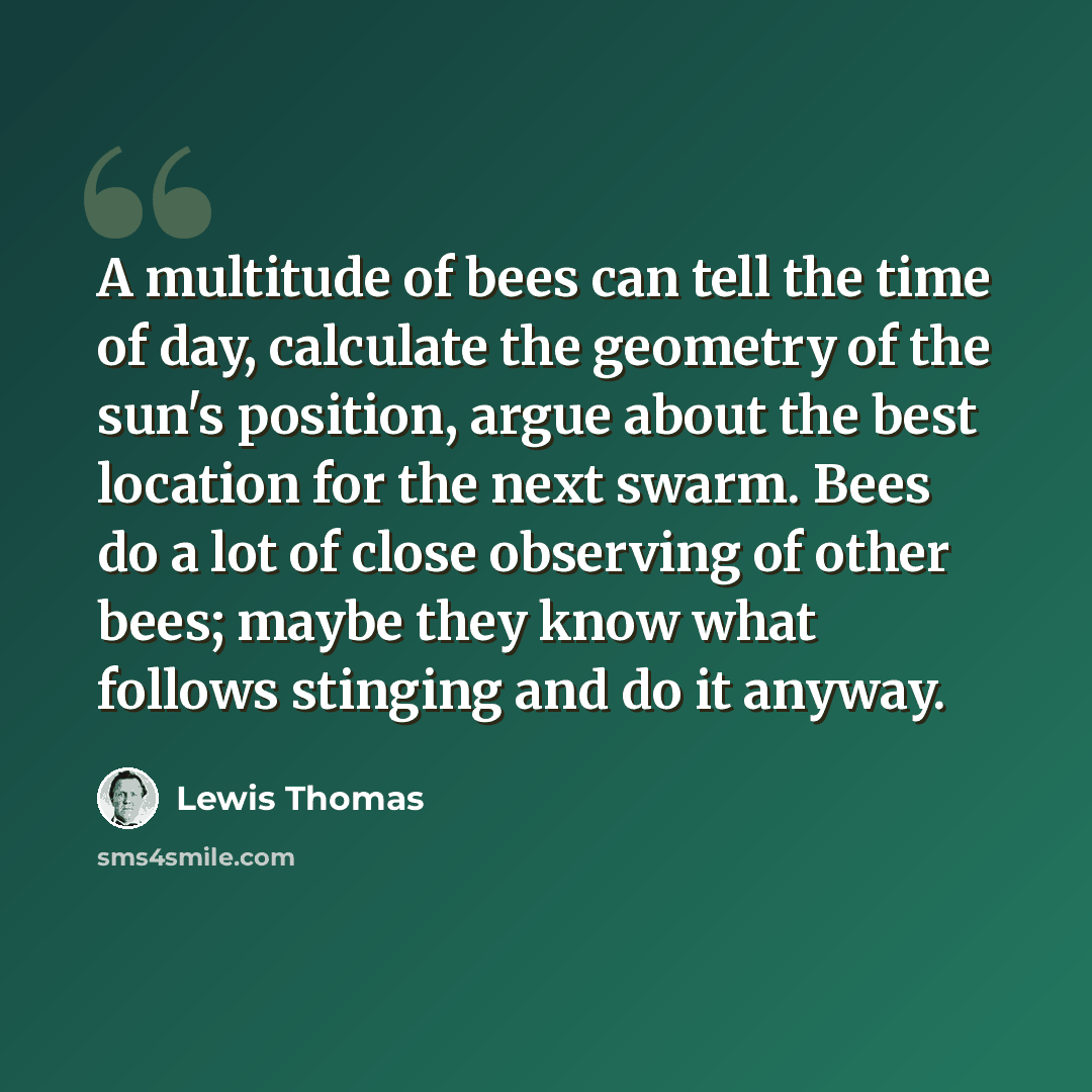 “A multitude of bees can tell the time of day, calculate the geometry of the sun's position, argue about the best location for the next swarm. Bees do a lot of close observing of other bees; maybe they know what follows stinging and do it anyway.” quote by Lewis Thomas