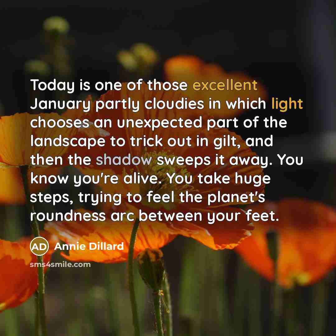 “Today is one of those excellent January partly cloudies in which light chooses an unexpected part of the landscape to trick out in gilt, and then the shadow sweeps it away. You know you're alive. You take huge steps, trying to feel the planet's roundness arc between your feet.” quote by Annie Dillard