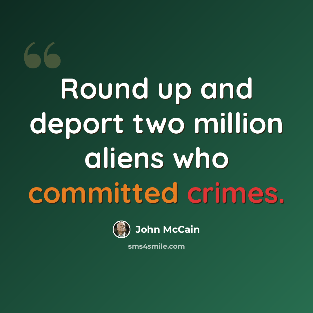 “Round up and deport two million aliens who committed crimes.” quote by John McCain