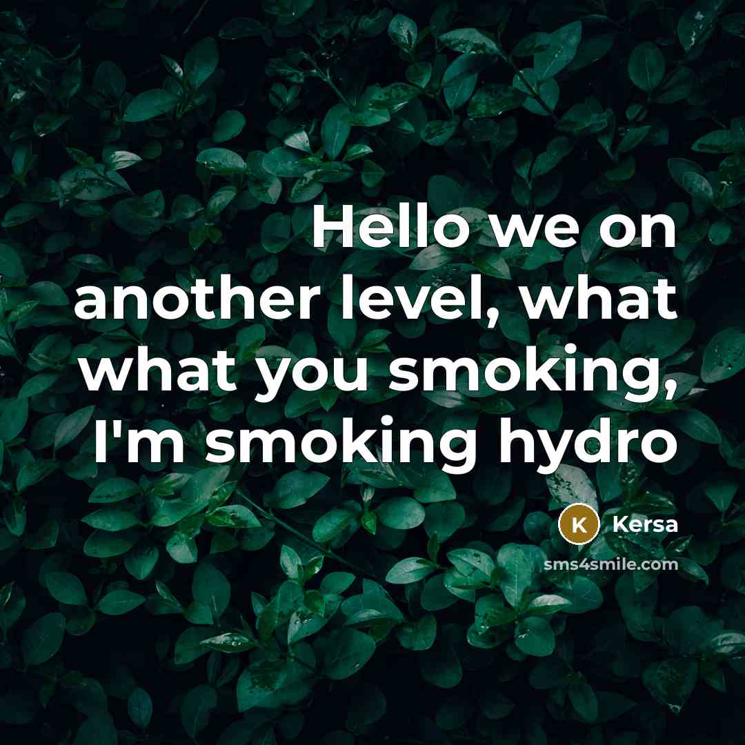 “Hello we on another level, what what you smoking, I'm smoking hydro” quote by Kersa