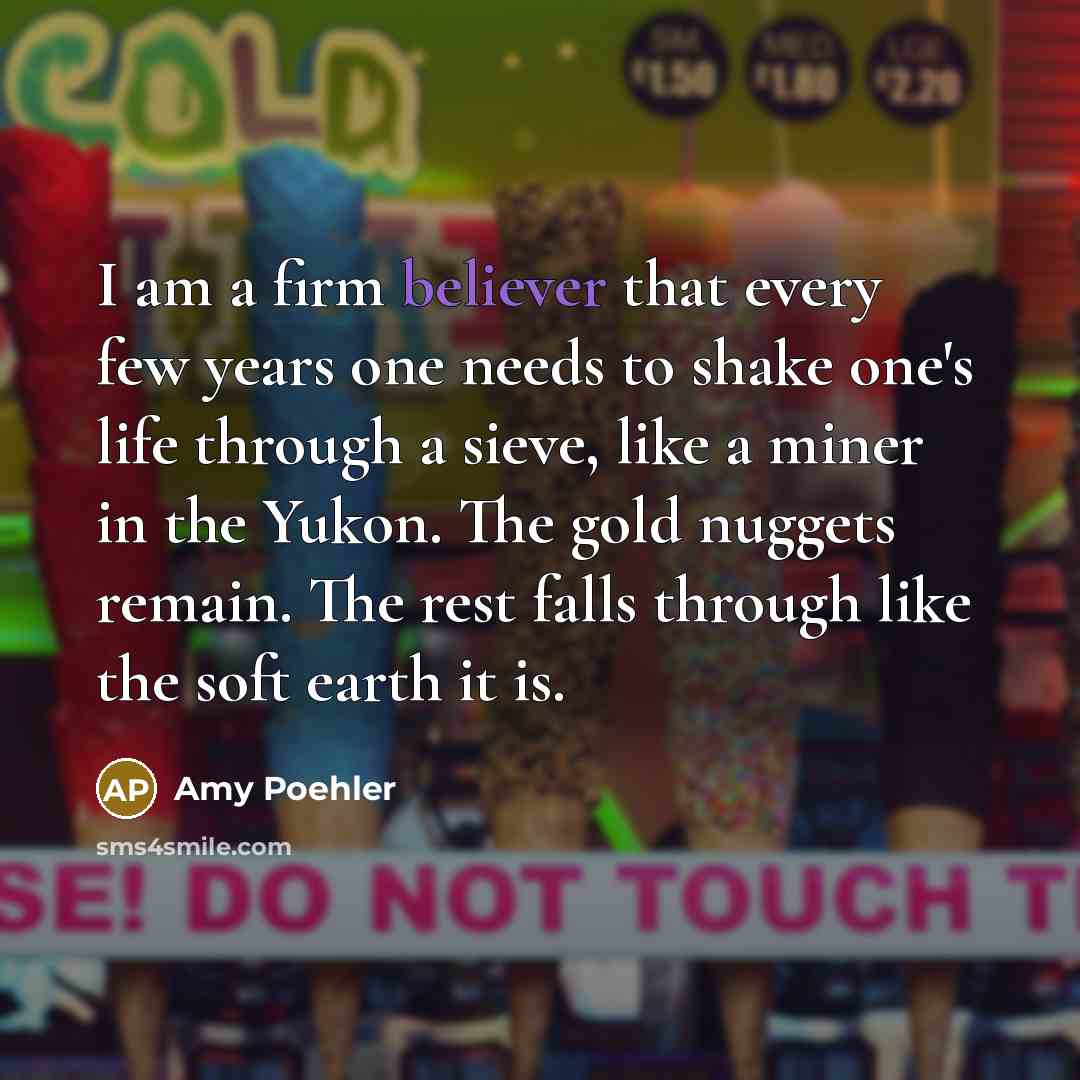 “I am a firm believer that every few years one needs to shake one's life through a sieve, like a miner in the Yukon. The gold nuggets remain. The rest falls through like the soft earth it is.” quote by Amy Poehler