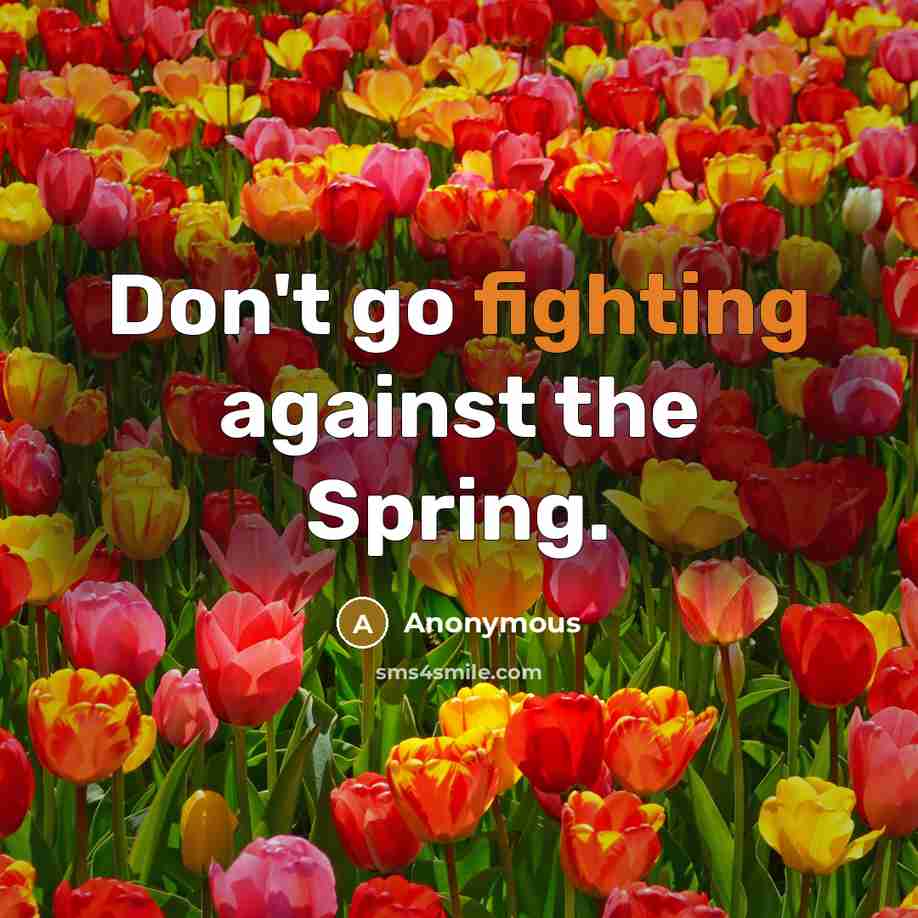 “Don't go fighting against the Spring.” quote by Anonymous