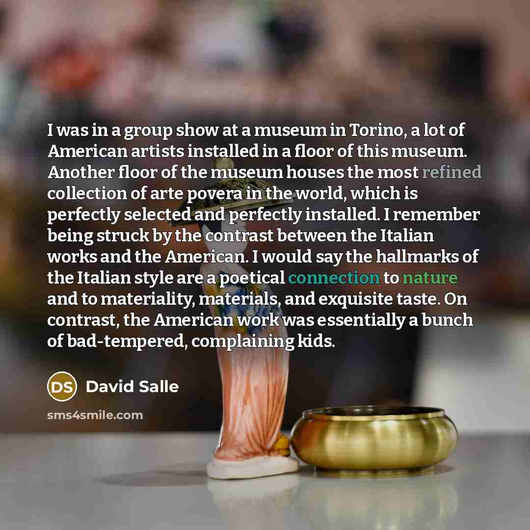 “I was in a group show at a museum in Torino, a lot of American artists installed in a floor of this museum. Another floor of the museum houses the most refined collection of arte povera in the world, which is perfectly selected and perfectly installed. I remember being struck by the contrast…” quote by David Salle