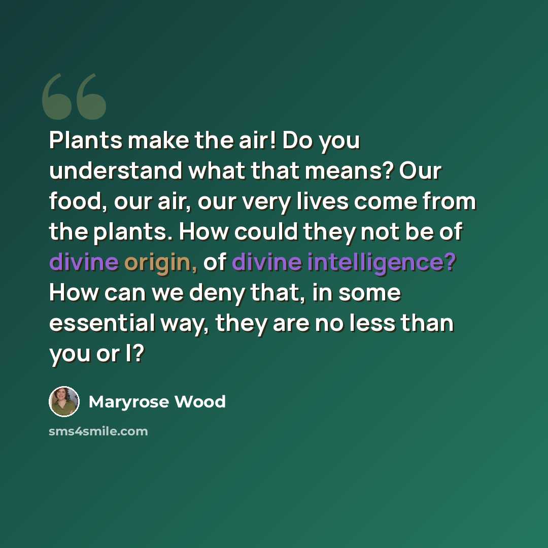 “Plants make the air! Do you understand what that means? Our food, our air, our very lives come from the plants. How could they not be of divine origin, of divine intelligence? How can we deny that, in some essential way, they are no less than you or I?” quote by Maryrose Wood
