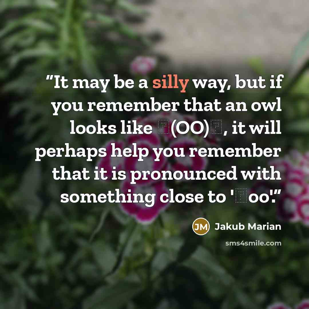 “It may be a silly way, but if you remember that an owl looks like ʌ(OO)ʌ, it will perhaps help you remember that it is pronounced with something close to 'ʌoo'.” quote by Jakub Marian