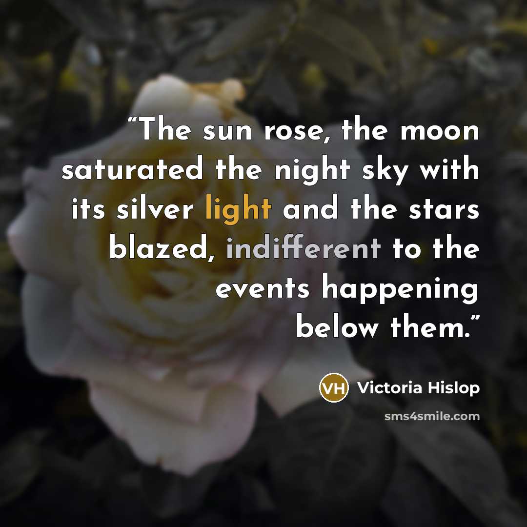 “The sun rose, the moon saturated the night sky with its silver light and the stars blazed, indifferent to the events happening below them.” quote by Victoria Hislop