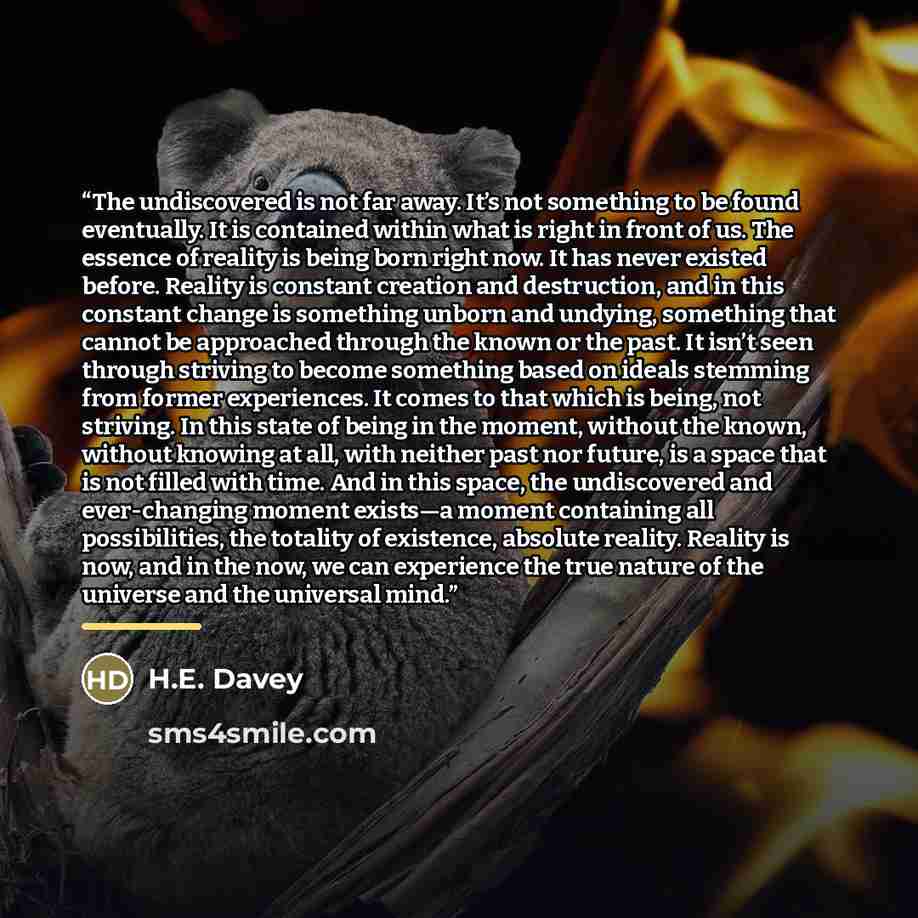 “The undiscovered is not far away. It’s not something to be found eventually. It is contained within what is right in front of us. The essence of reality is being born right now. It has never existed before. Reality is constant creation and destruction, and in this constant change is something…” quote by h.e. davey