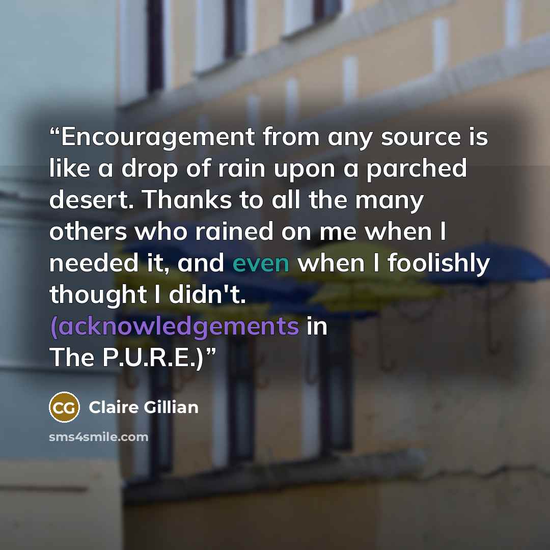 “Encouragement from any source is like a drop of rain upon a parched desert. Thanks to all the many others who rained on me when I needed it, and even when I foolishly thought I didn't. (acknowledgements in The P.U.R.E.)” quote by Claire Gillian