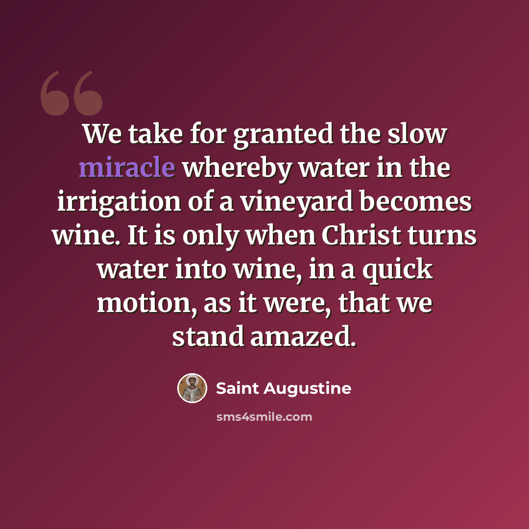 “We take for granted the slow miracle whereby water in the irrigation of a vineyard becomes wine. It is only when Christ turns water into wine, in a quick motion, as it were, that we stand amazed.” quote by Saint Augustine