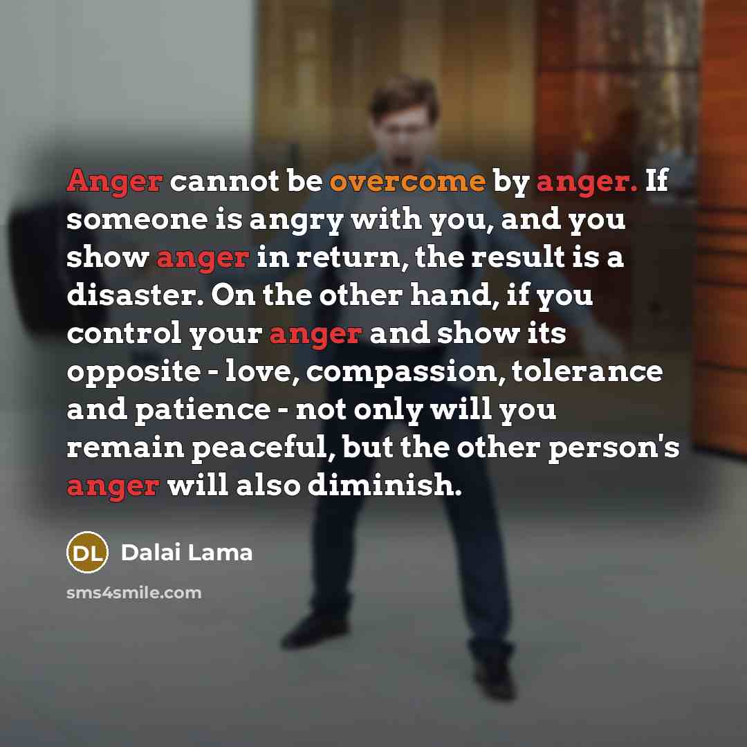 “Anger cannot be overcome by anger. If someone is angry with you, and you show anger in return, the result is a disaster. On the other hand, if you control your anger and show its opposite - love, compassion, tolerance and patience - not only will you remain peaceful, but the other person's anger…” quote by Dalai Lama