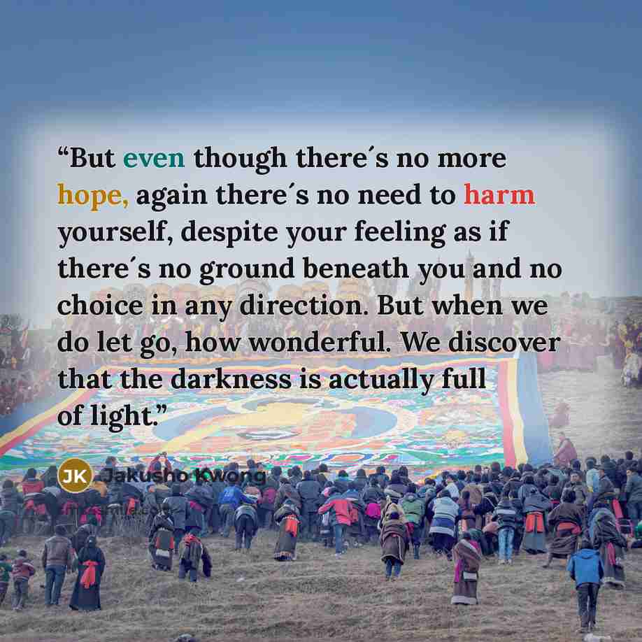 “But even though there´s no more hope, again there´s no need to harm yourself, despite your feeling as if there´s no ground beneath you and no choice in any direction. But when we do let go, how wonderful. We discover that the darkness is actually full of light.” quote by Jakusho Kwong