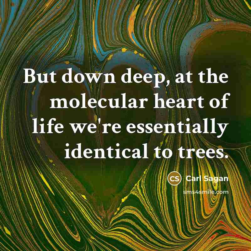“But down deep, at the molecular heart of life we're essentially identical to trees.” quote by Carl Sagan