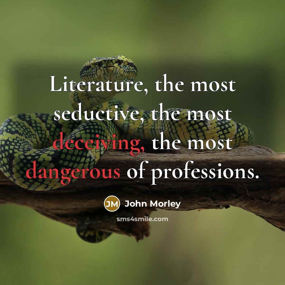 “Literature, the most seductive, the most deceiving, the most dangerous of professions.” quote by John Morley