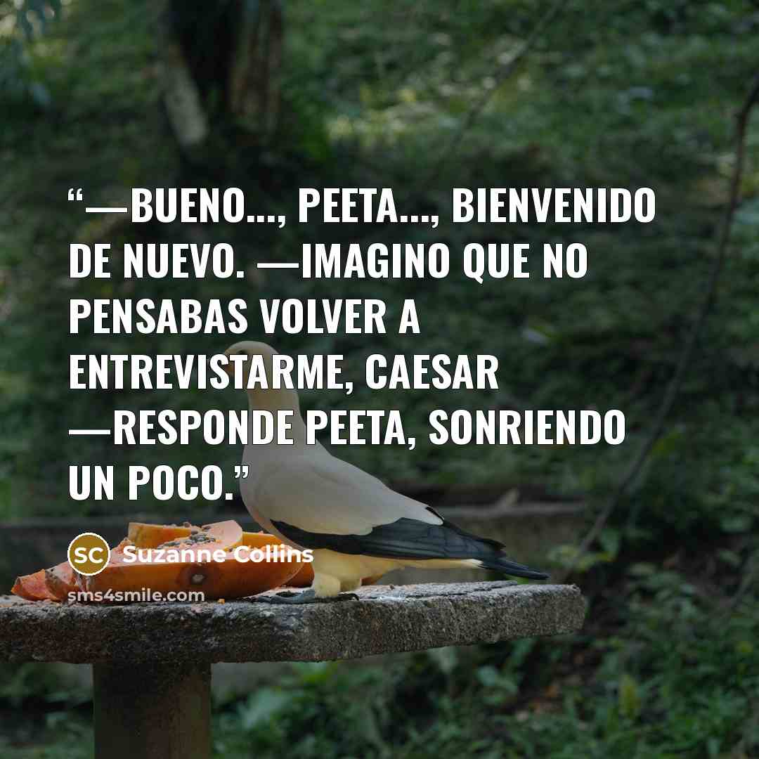 “—Bueno..., Peeta..., bienvenido de nuevo. —Imagino que no pensabas volver a entrevistarme, Caesar —responde Peeta, sonriendo un poco.” quote by Suzanne Collins