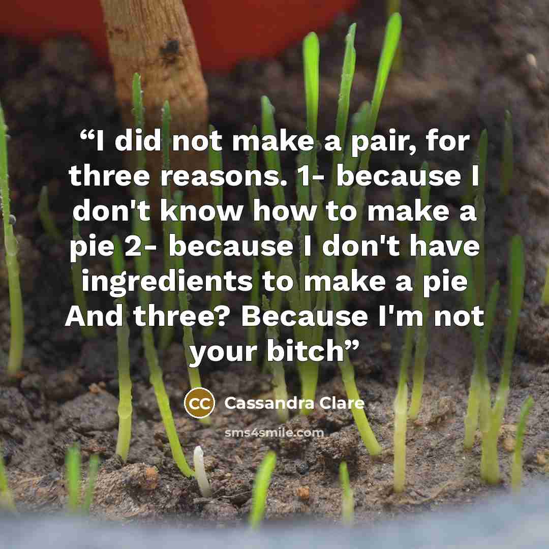 “I did not make a pair, for three reasons. 1- because I don't know how to make a pie 2- because I don't have ingredients to make a pie And three? Because I'm not your bitch” quote by Cassandra Clare
