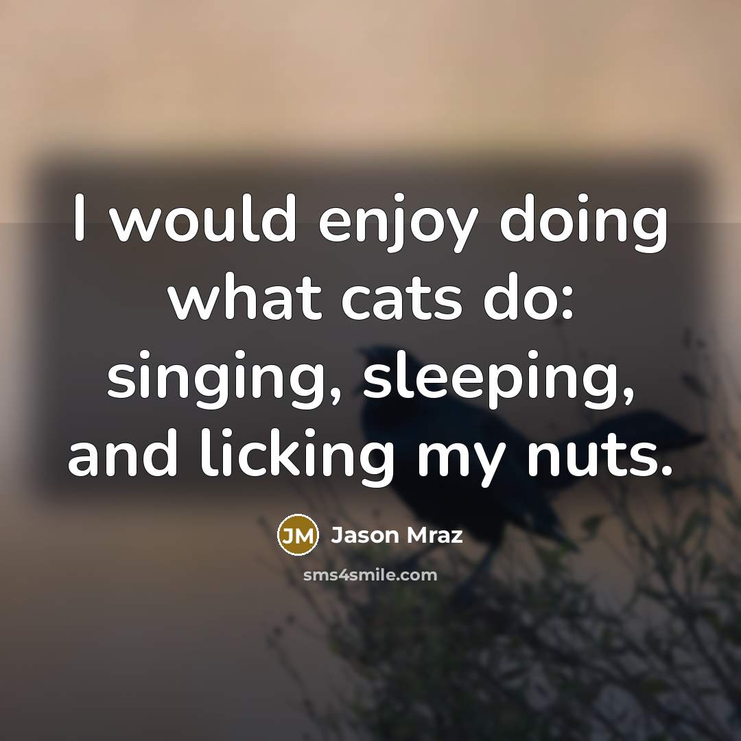 “I would enjoy doing what cats do: singing, sleeping, and licking my nuts.” quote by Jason Mraz