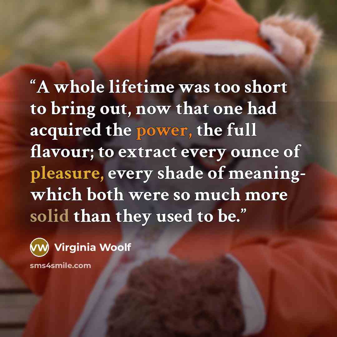 “A whole lifetime was too short to bring out, now that one had acquired the power, the full flavour; to extract every ounce of pleasure, every shade of meaning- which both were so much more solid than they used to be.” quote by Virginia Woolf
