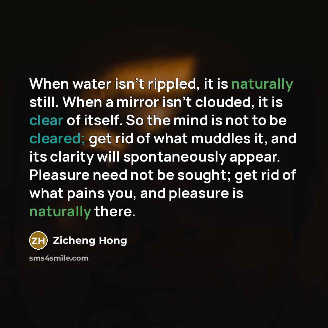 “When water isn't rippled, it is naturally still. When a mirror isn't clouded, it is clear of itself. So the mind is not to be cleared; get rid of what muddles it, and its clarity will spontaneously appear. Pleasure need not be sought; get rid of what pains you, and pleasure is naturally there.” quote by Zicheng Hong
