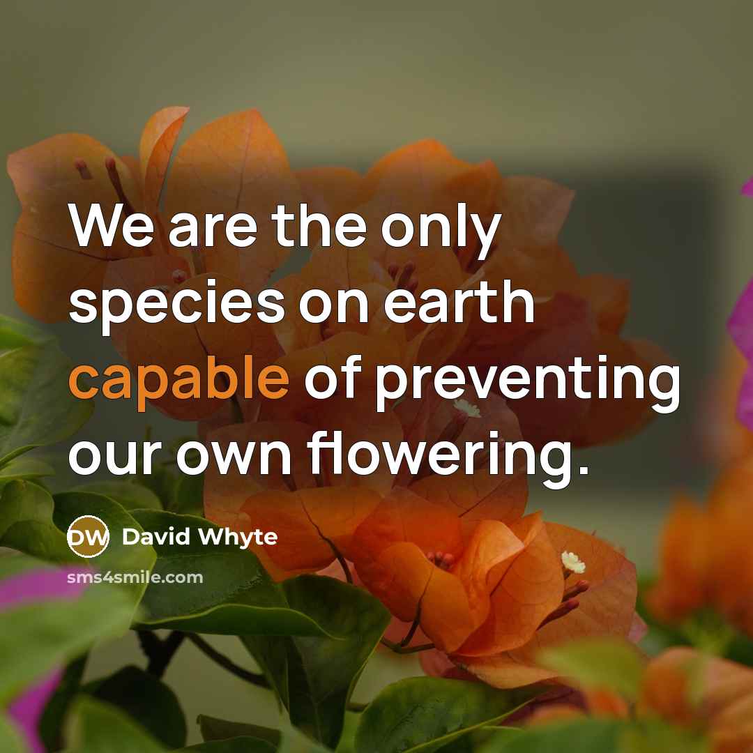 “We are the only species on earth capable of preventing our own flowering.” quote by David Whyte