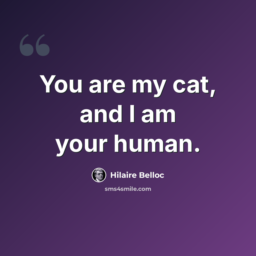 “You are my cat, and I am your human.” quote by Hilaire Belloc