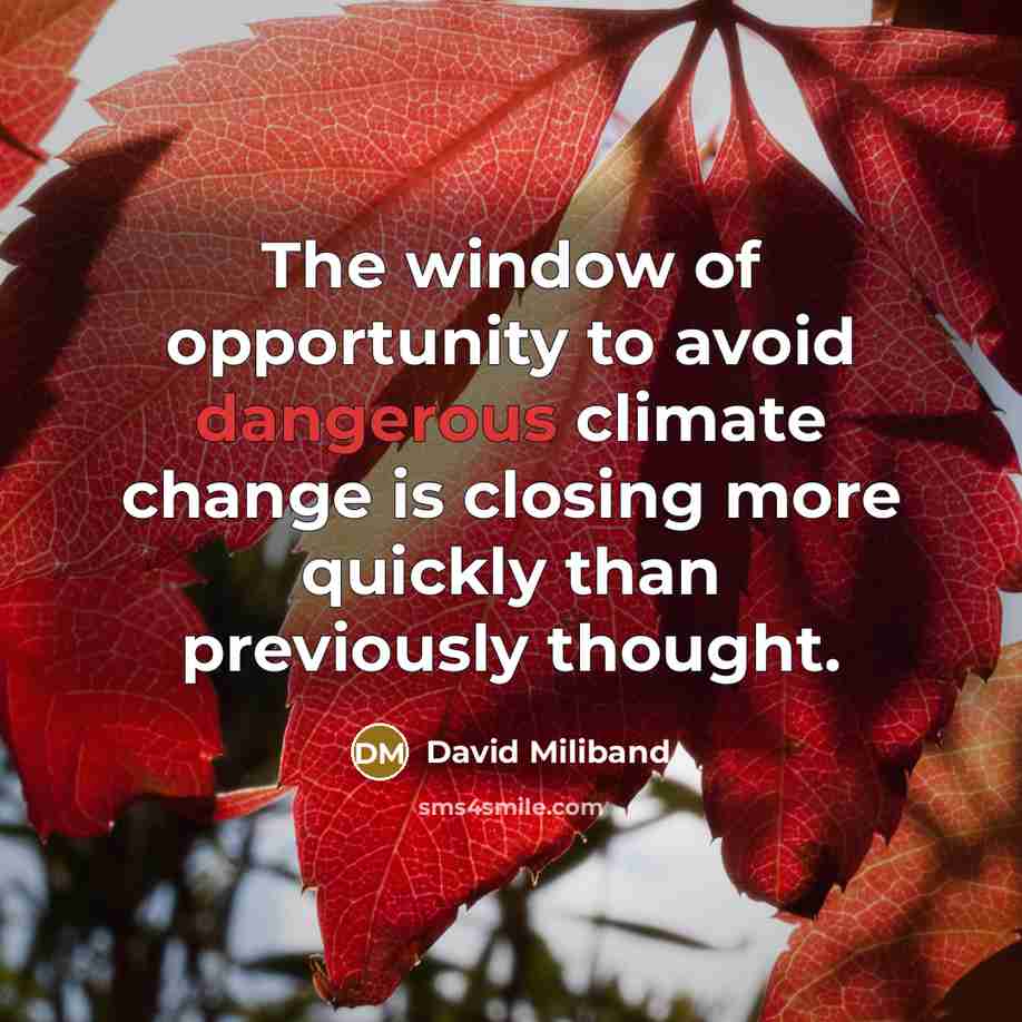“The window of opportunity to avoid dangerous climate change is closing more quickly than previously thought.” quote by David Miliband