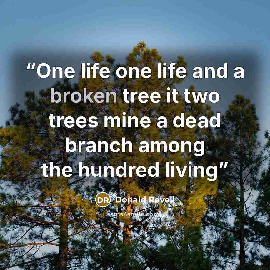 “One life one life and a broken tree it two trees mine a dead branch among the hundred living” quote by Donald Revell