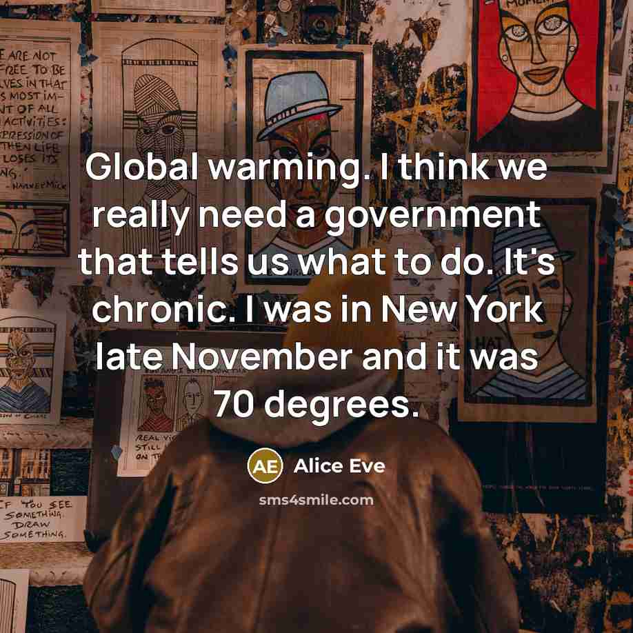 “Global warming. I think we really need a government that tells us what to do. It's chronic. I was in New York late November and it was 70 degrees.” quote by Alice Eve