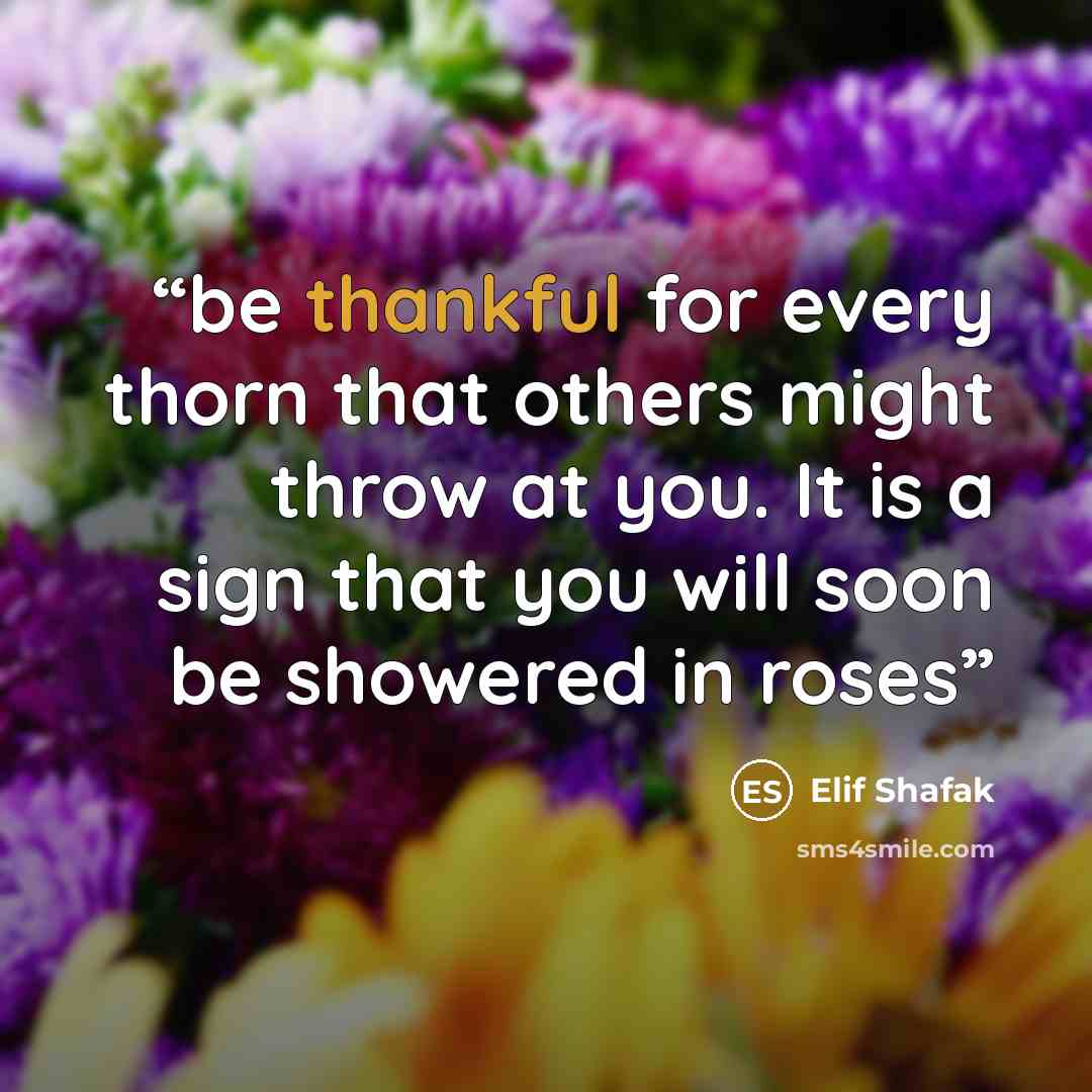 “be thankful for every thorn that others might throw at you. It is a sign that you will soon be showered in roses” quote by Elif Shafak