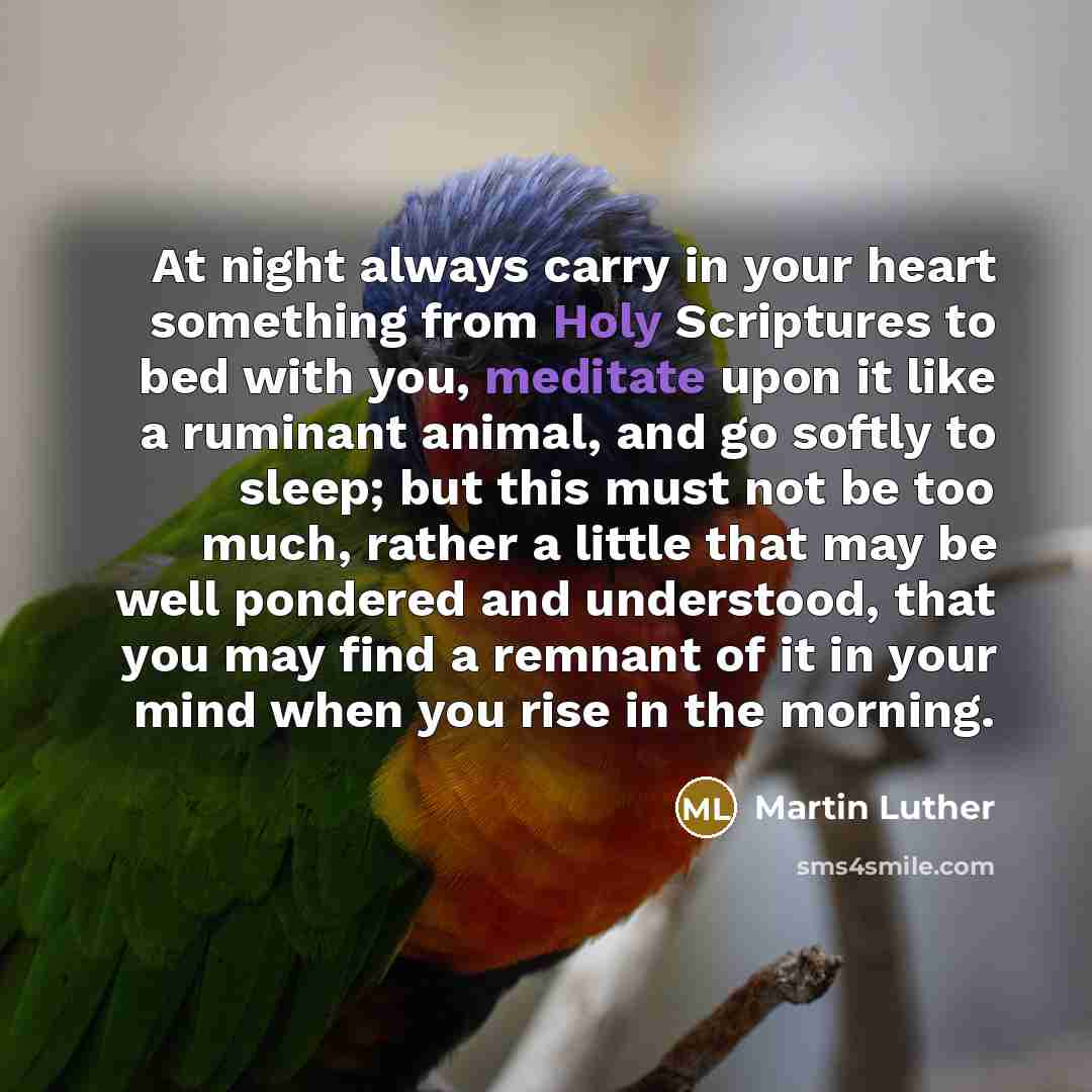 “At night always carry in your heart something from Holy Scriptures to bed with you, meditate upon it like a ruminant animal, and go softly to sleep; but this must not be too much, rather a little that may be well pondered and understood, that you may find a remnant of it in your mind when you rise…” quote by Martin Luther